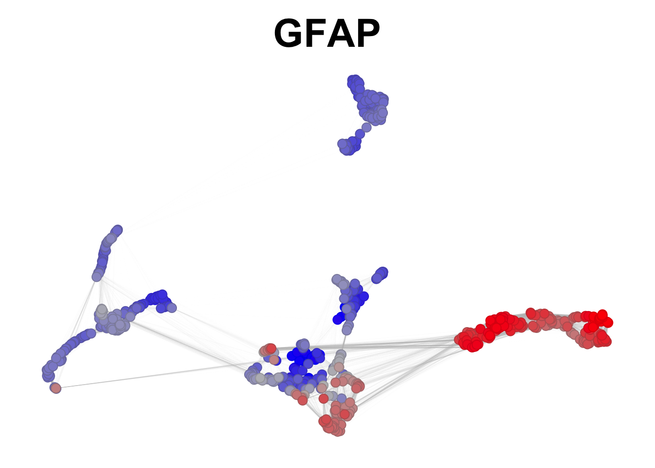 GFAP preferential expression in gliogenesis.