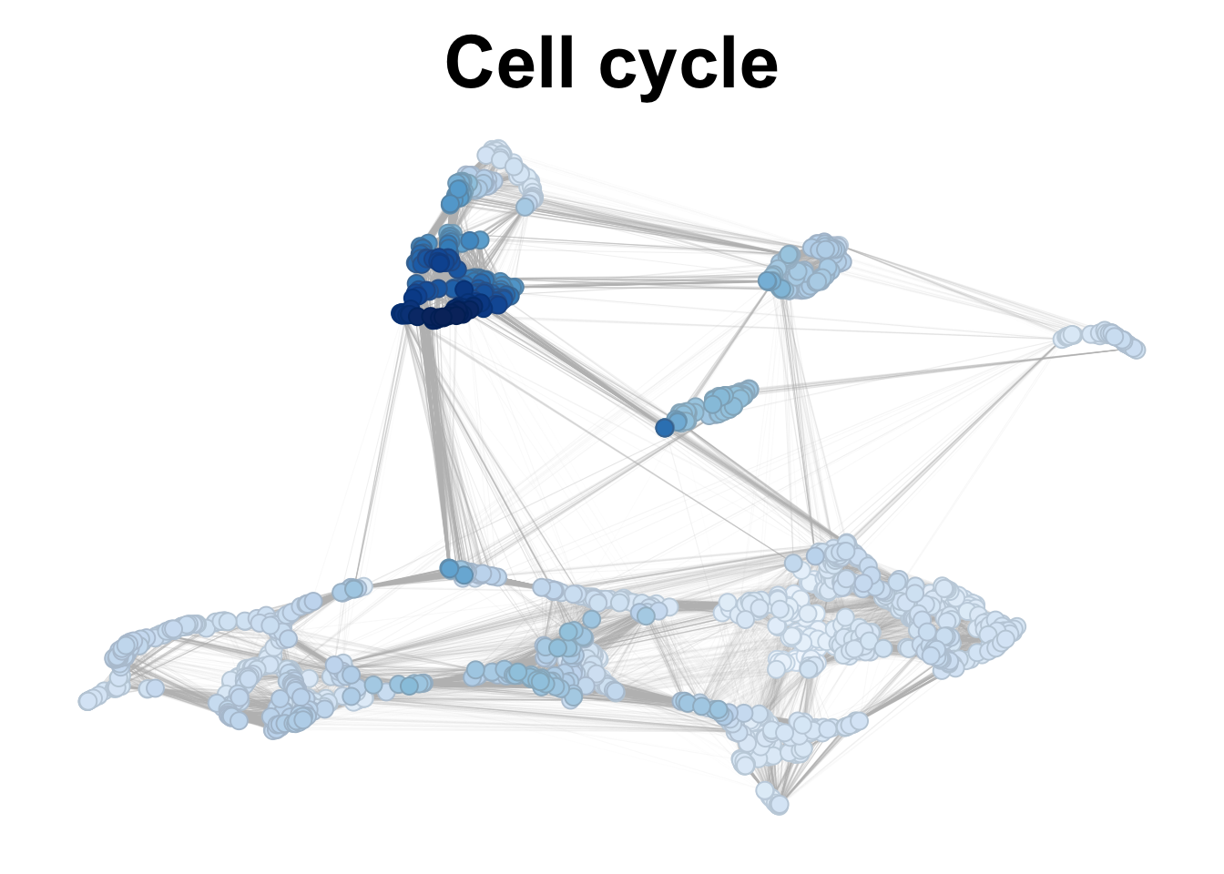Cell cycle genes expression in corticogenesis.