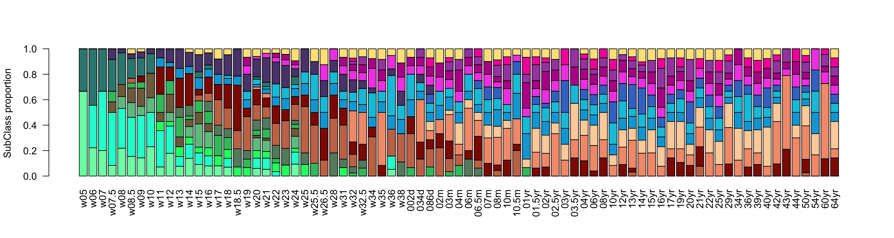 Corticogenesis subclasses proportions.