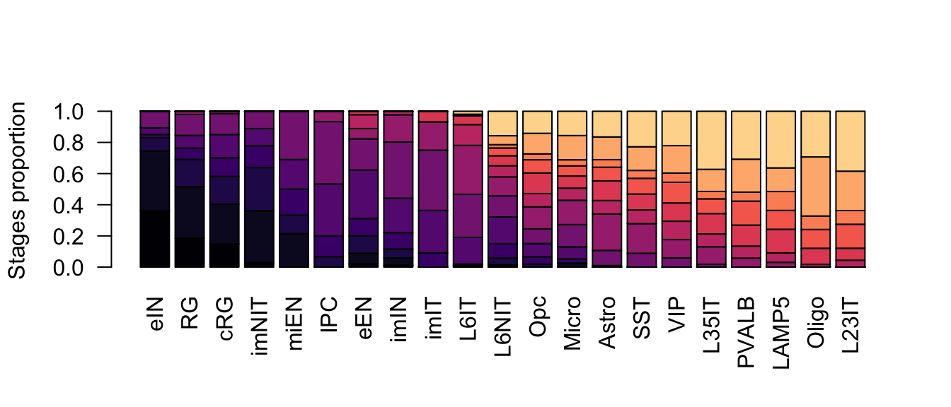 Corticogenesis subclasses proportions.