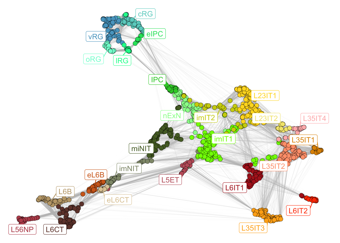 Neurogenesis subclasses.