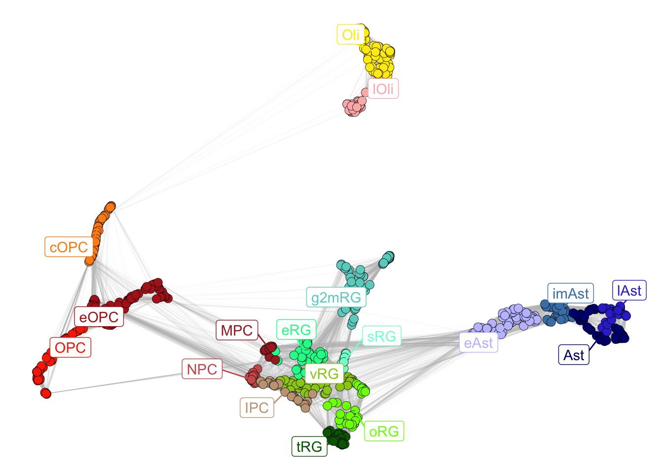 Gliogenesis subclasses.