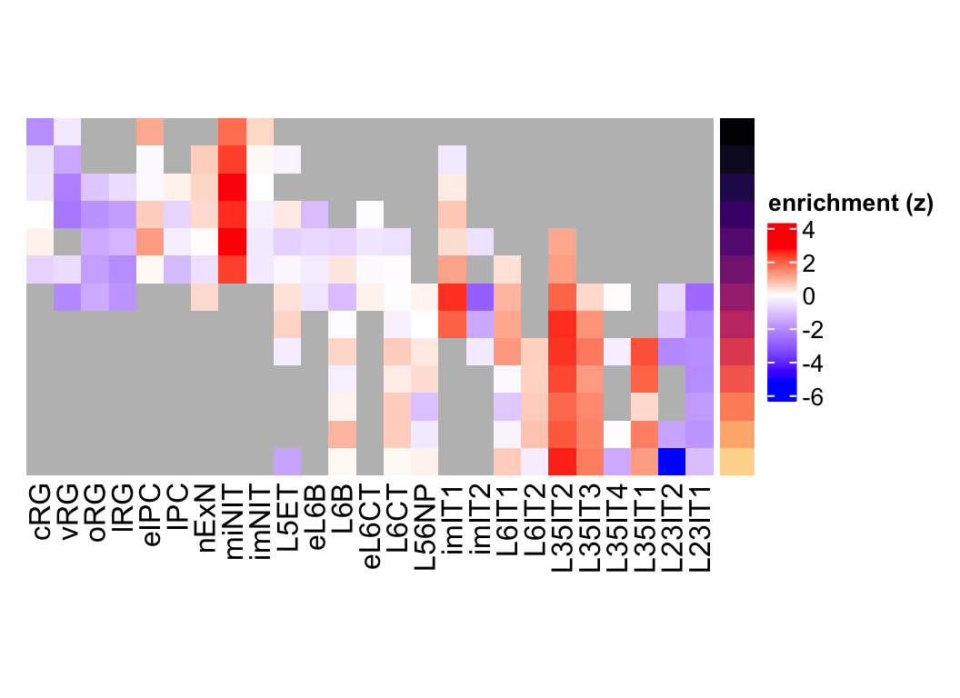 NEUROD6 eMatrix in neurogenesis.