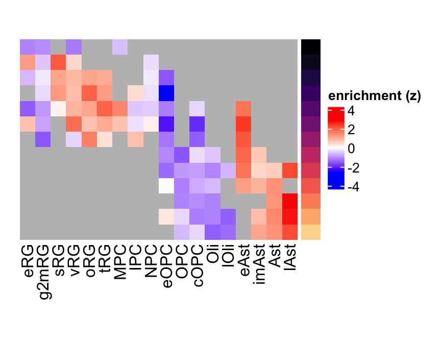 GFAP eMatrix in gliogenesis.