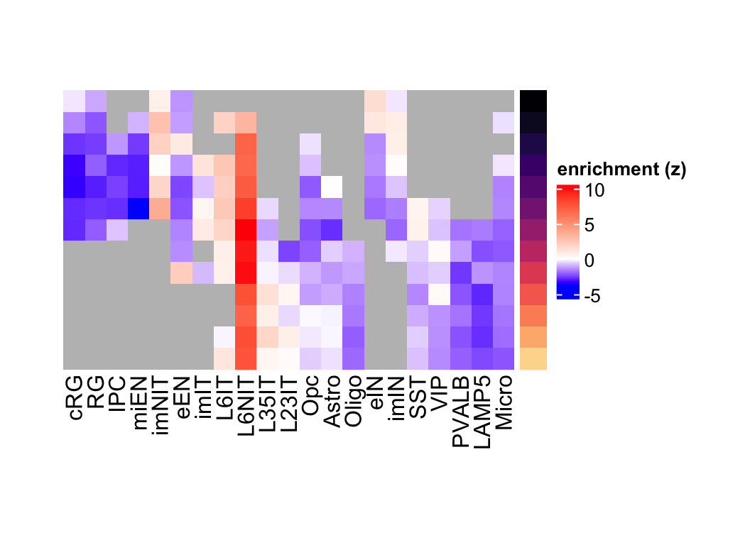 L6NIT preferentially expressed genes eMatrix in corticogenesis.