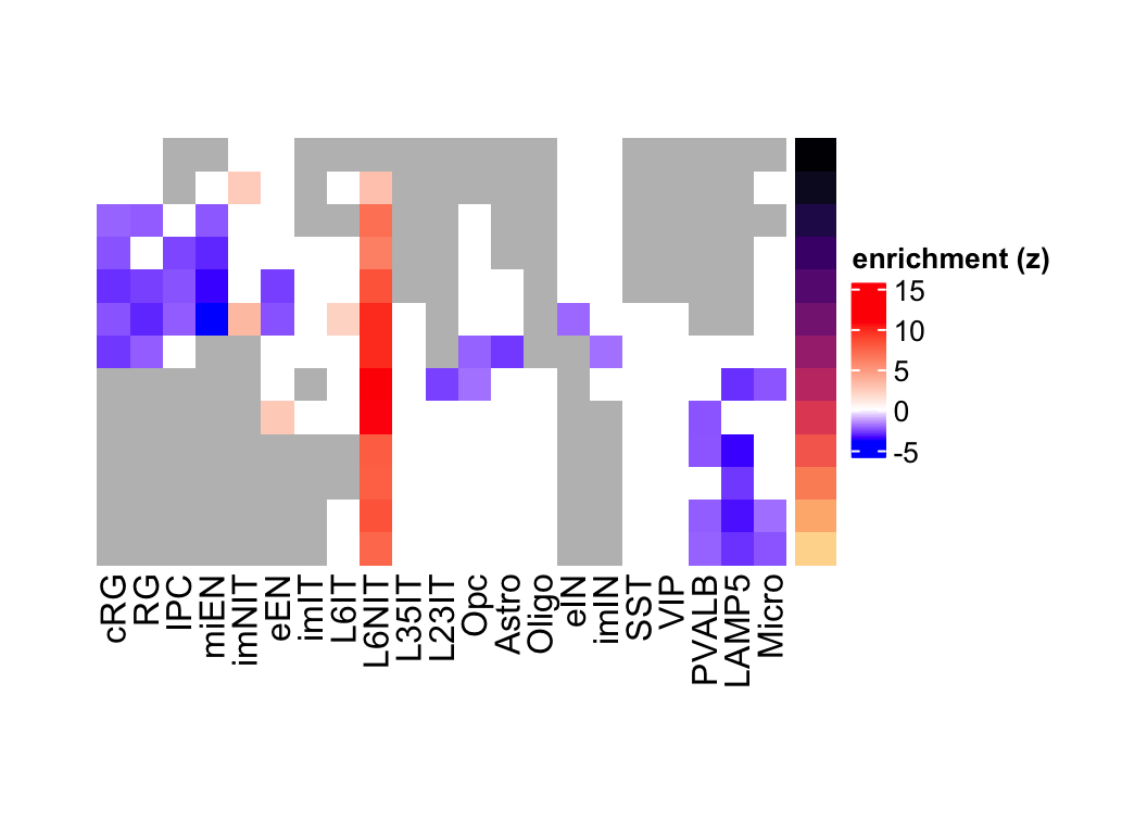 L6NIT preferentially expressed genes eMatrix in corticogenesis highlighting statistical significance.