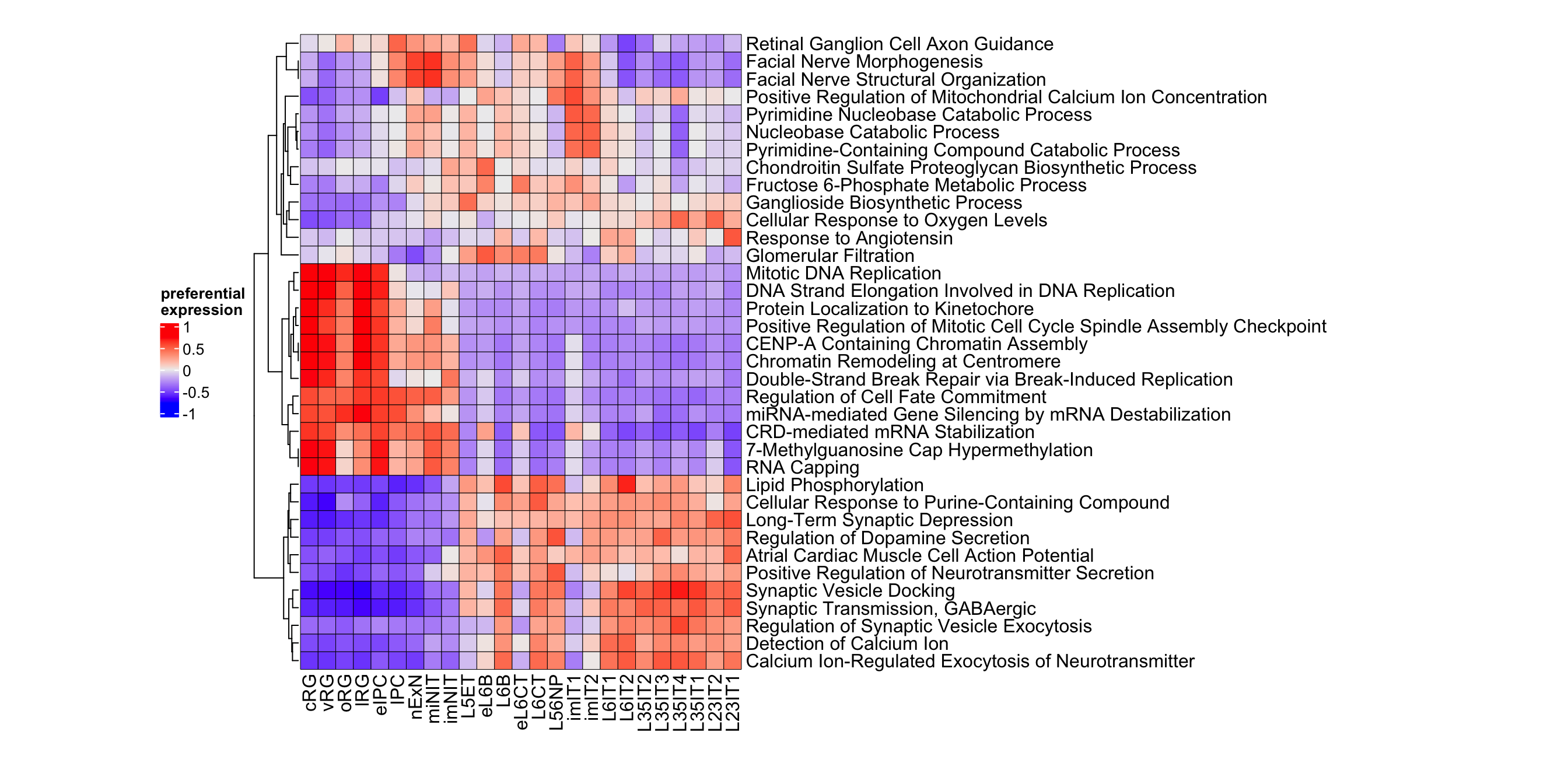 Top gene ontology biological processes in neurogenesis.