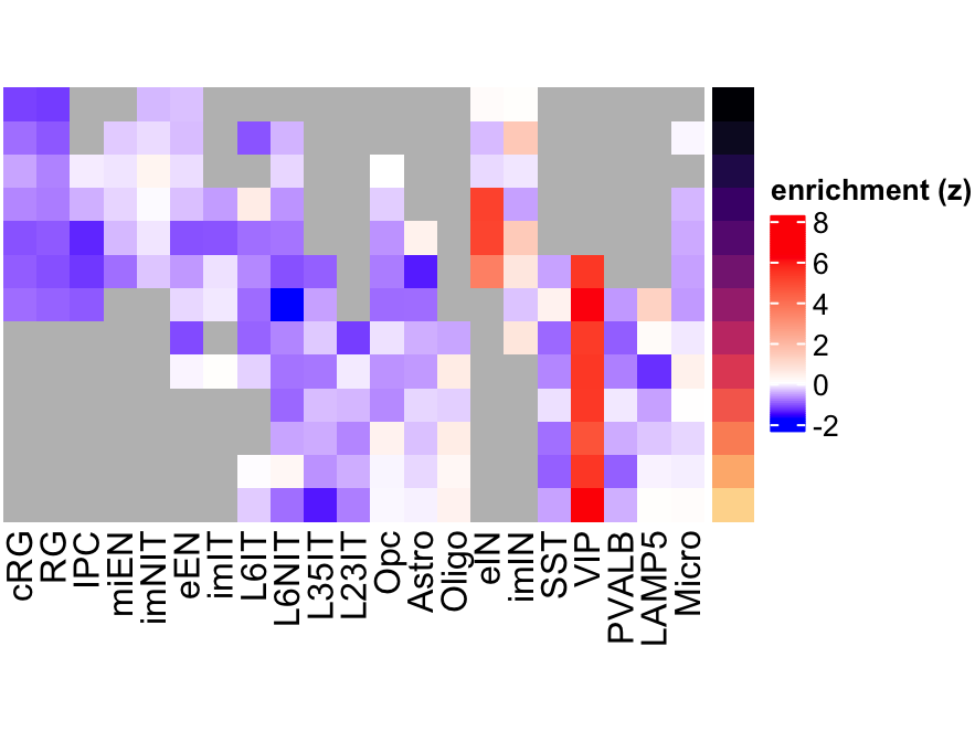 VIP eMatrix in corticogenesis.
