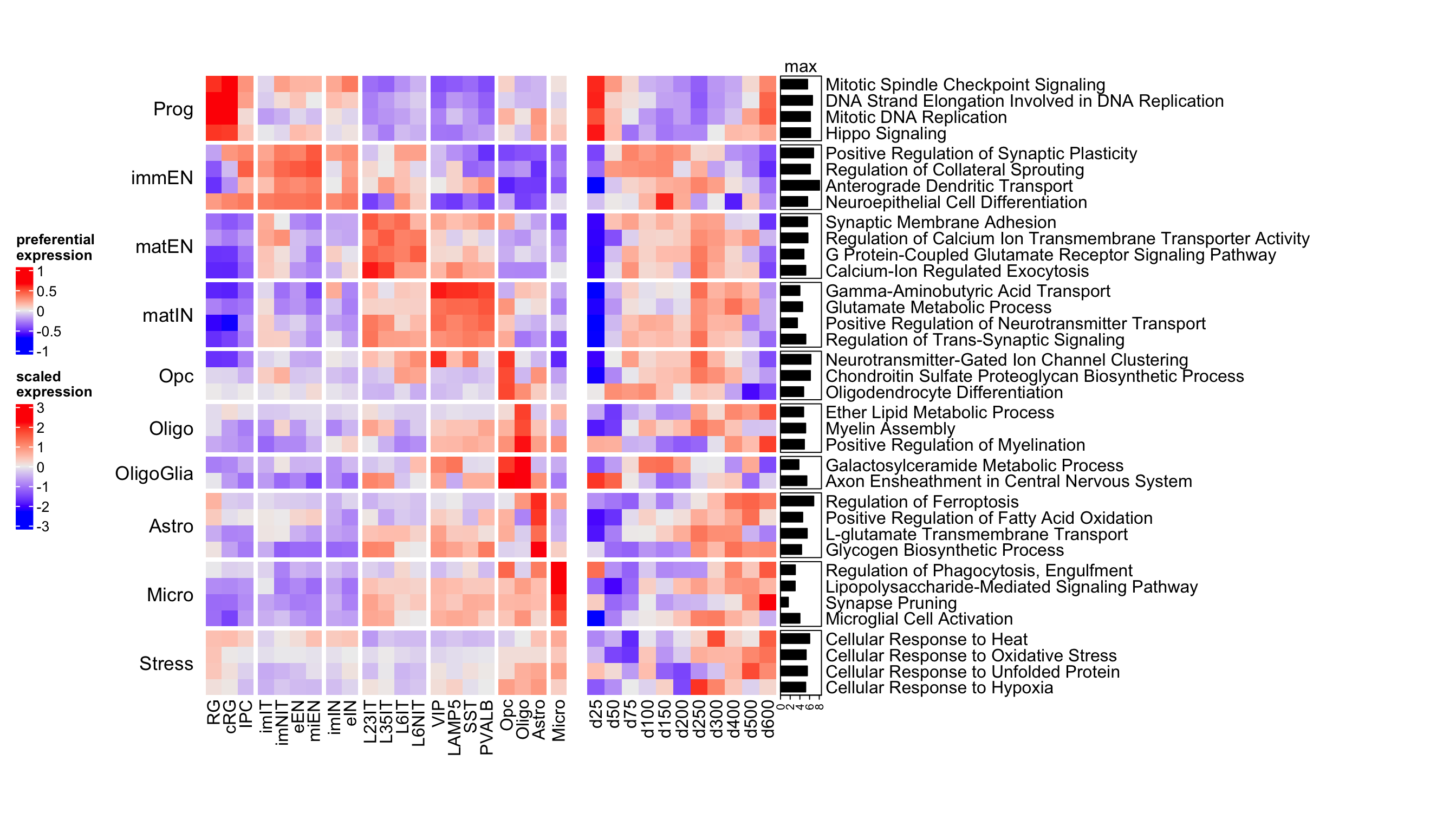 Heatmap of corticogenesis-specific GO biological processes in resource and mapped samples.