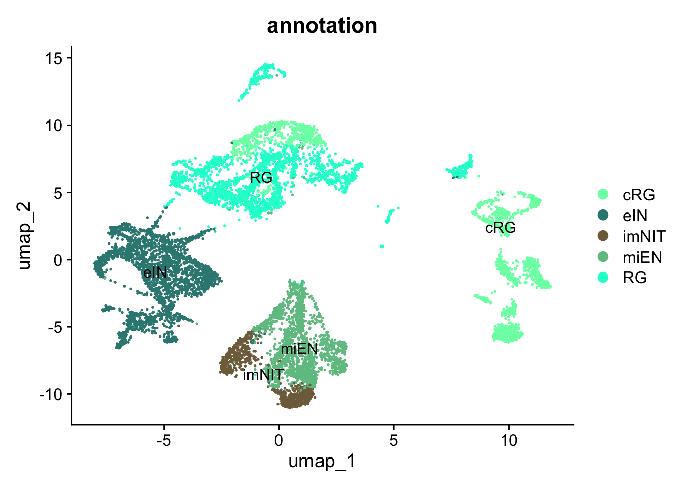 Single-cell dataset UMAP with clusters and annotations.