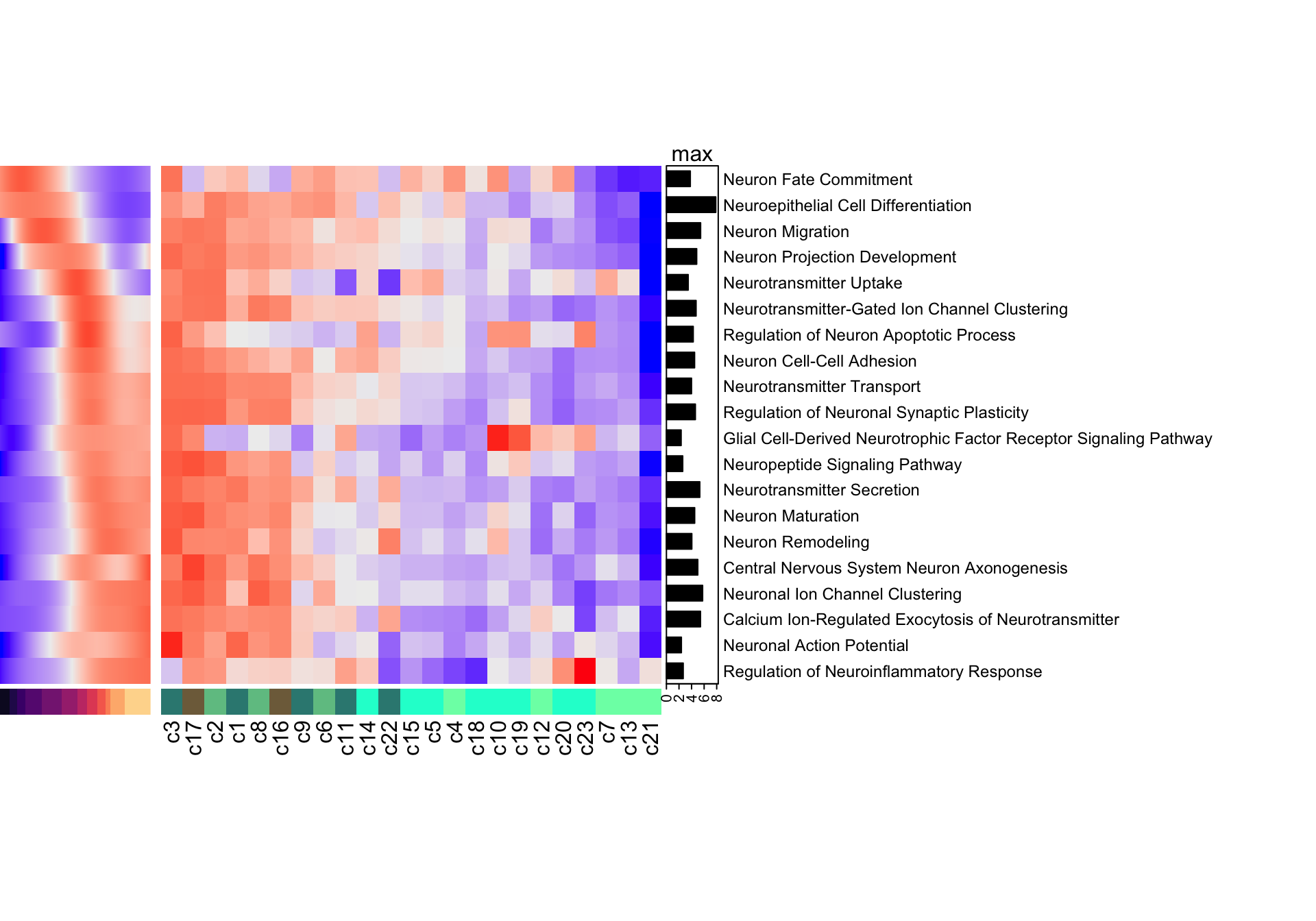 Heatmap of neurogenesis-specific GO biological processes in resource and mapped clusters.