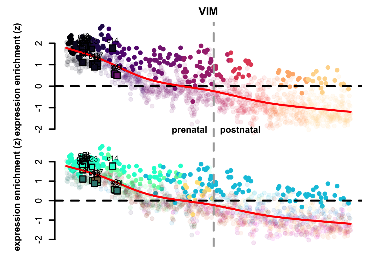 VIM and SYT1 eTrace in corticogenesis and mapped points