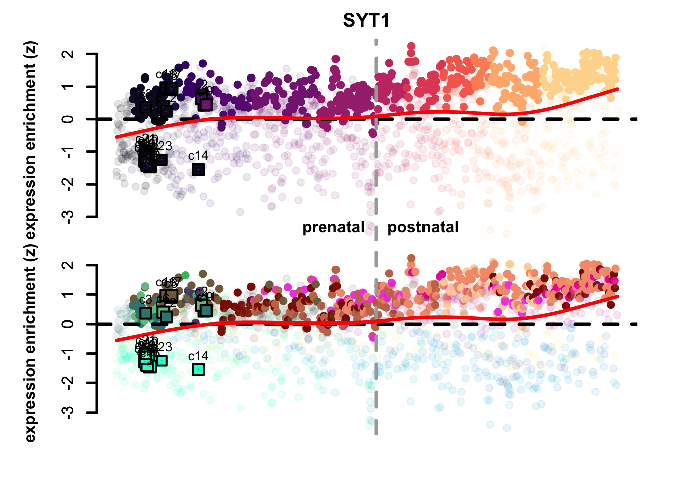 VIM and SYT1 eTrace in corticogenesis and mapped points